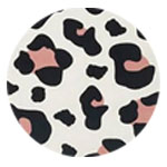 Leopard Lunchbox