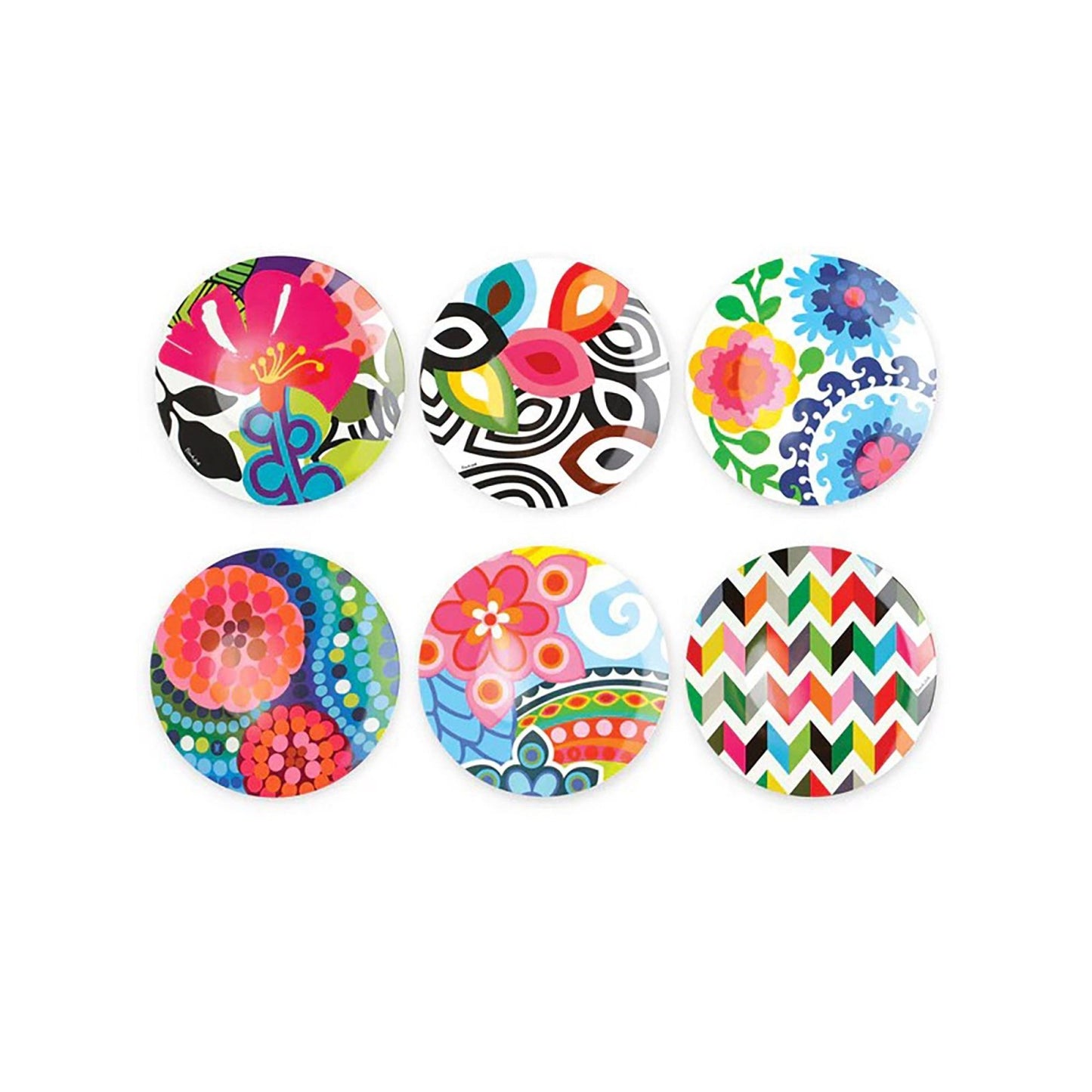 Assorted Dinner Plate Set of 6 - Living - shop_name