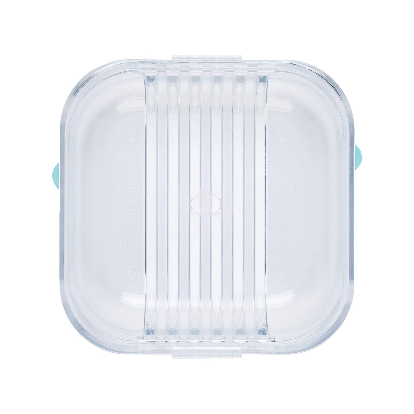 Bento Medium Container