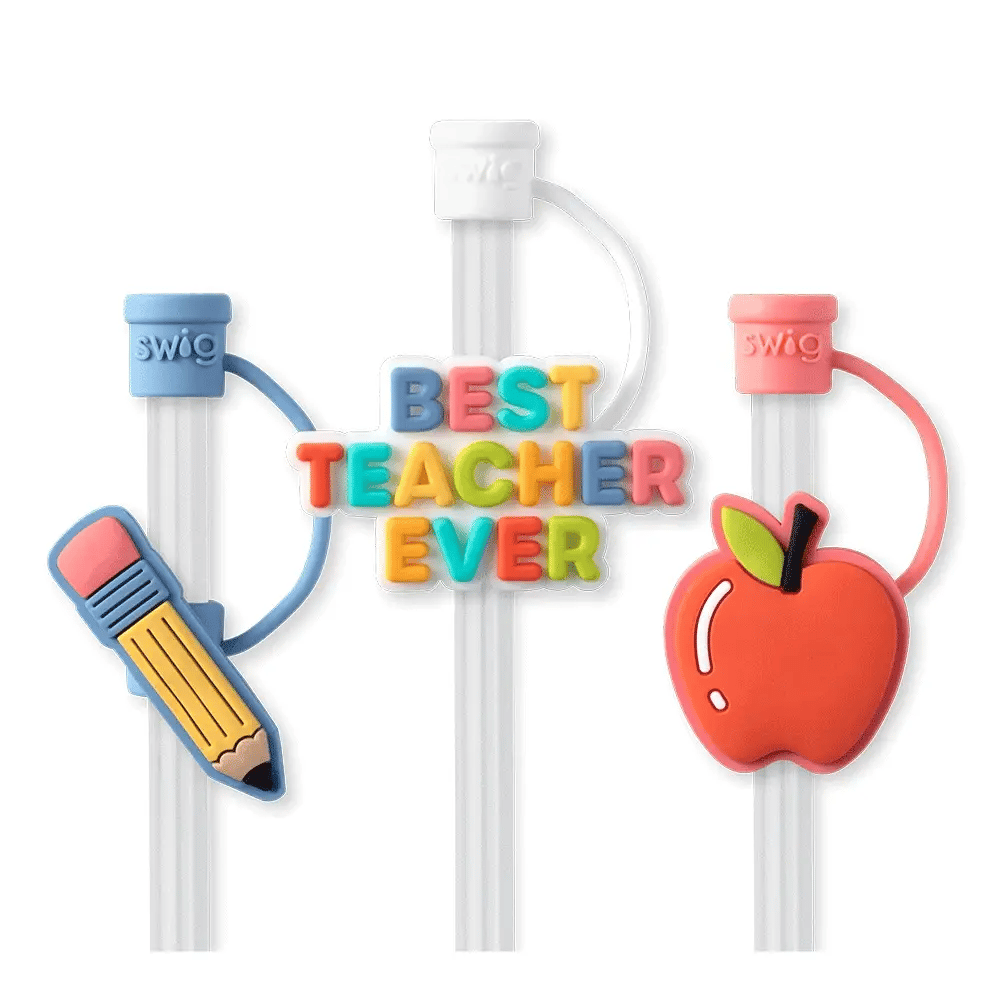 Straw Toppers Best Teacher - For Her - shop_name