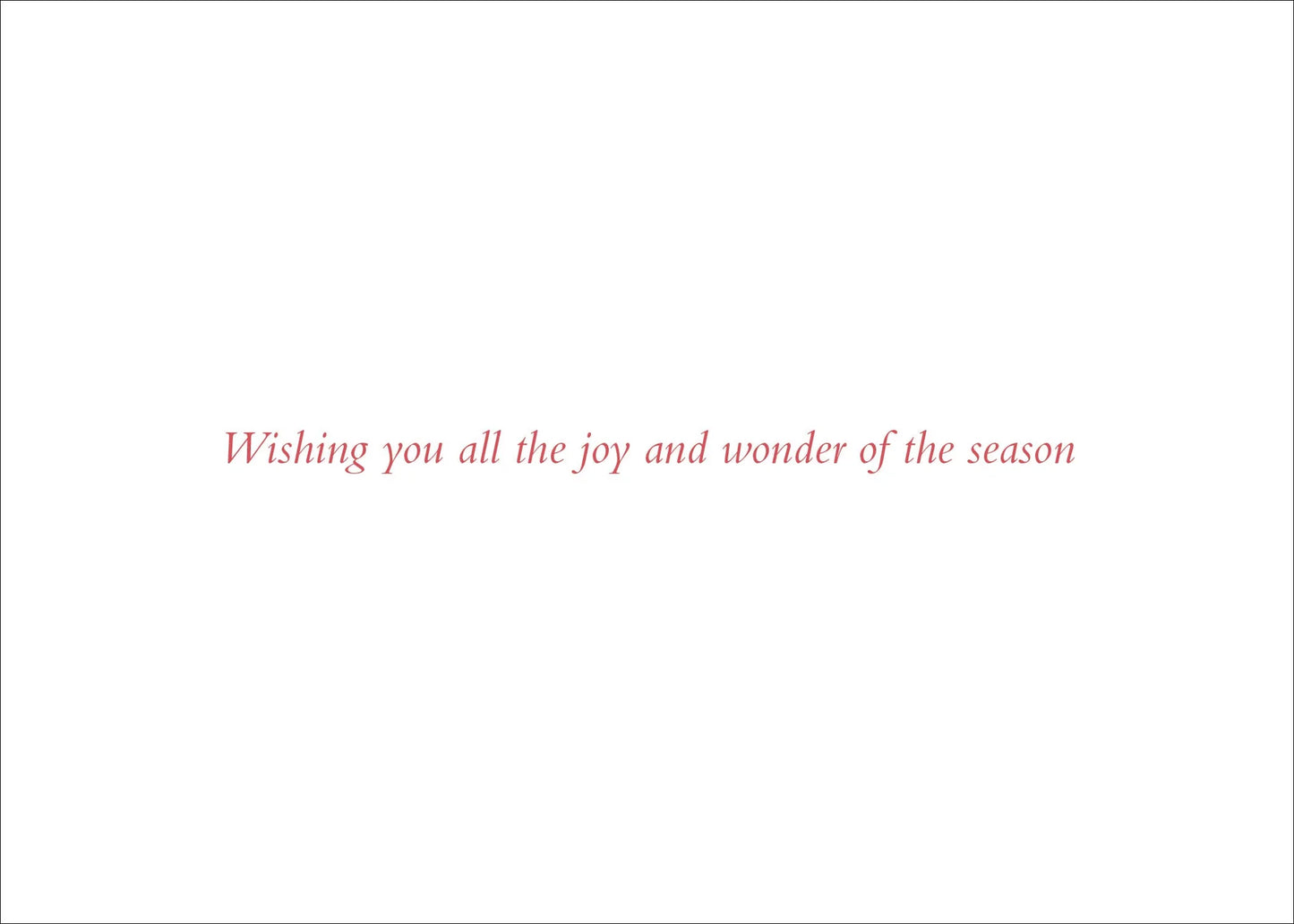 A white square card or sign with centered red script text reading, 'Wishing you all the joy and wonder of the season'.