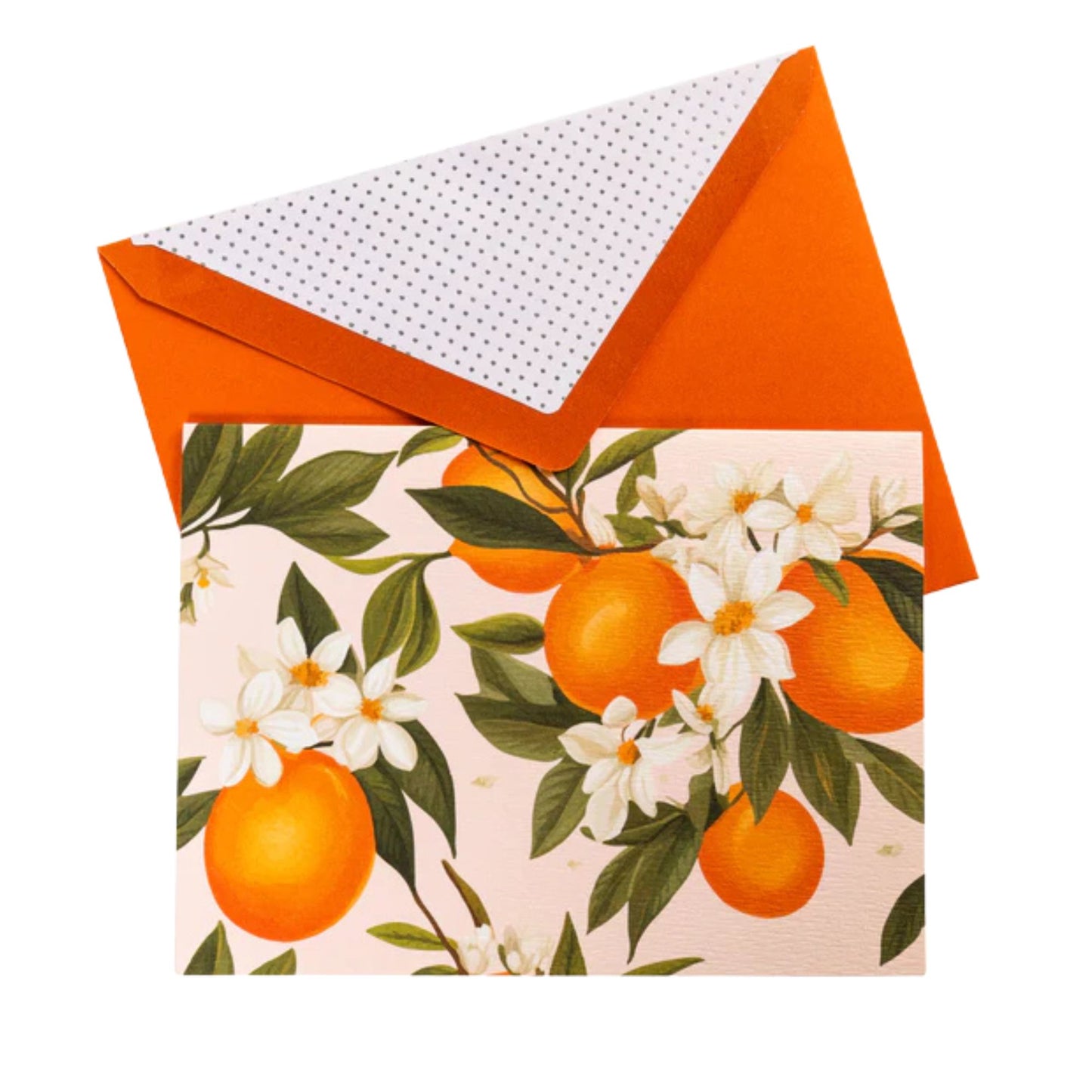 Floral card with oranges and an orange envelope on a white background