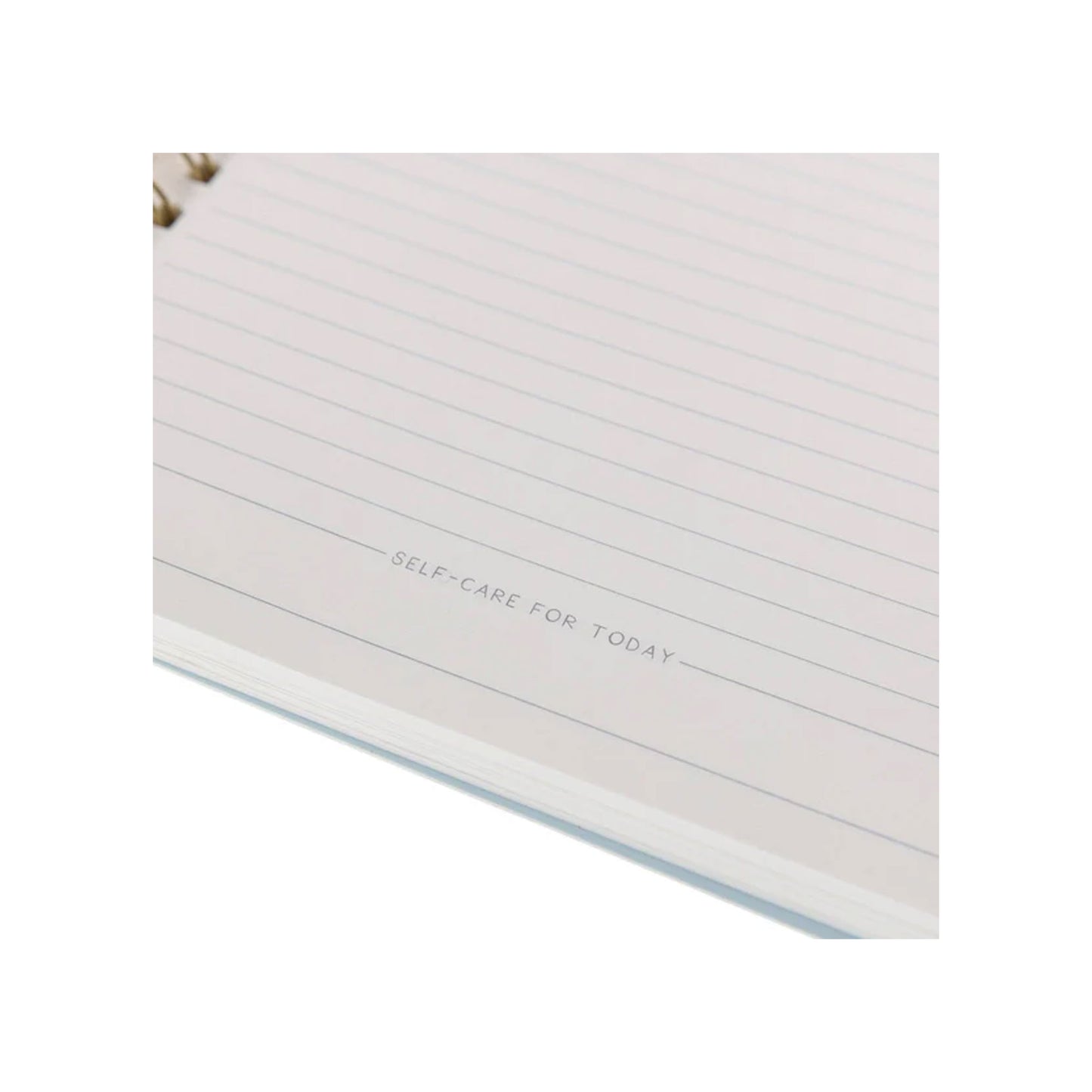 Focus 8 x 10 Spiral Journal