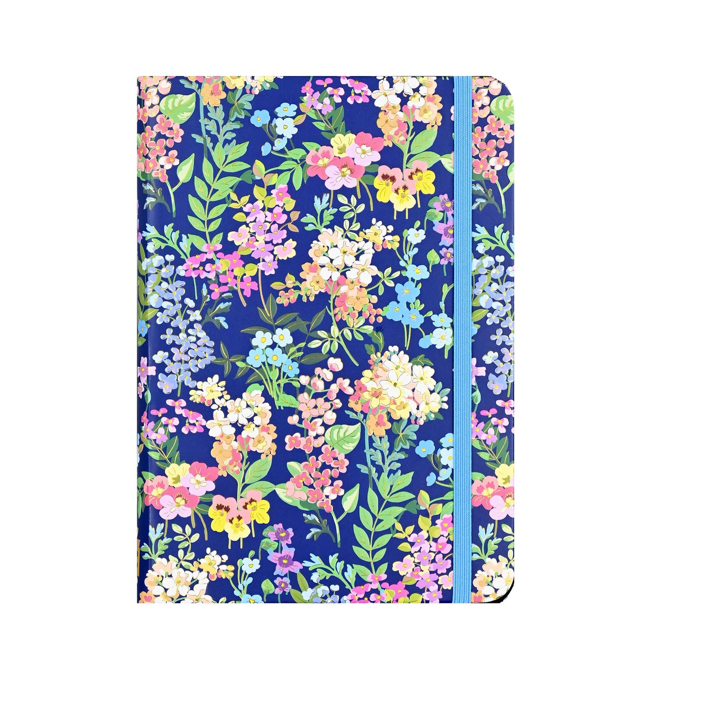 Journal des fleurs sauvages de lavande