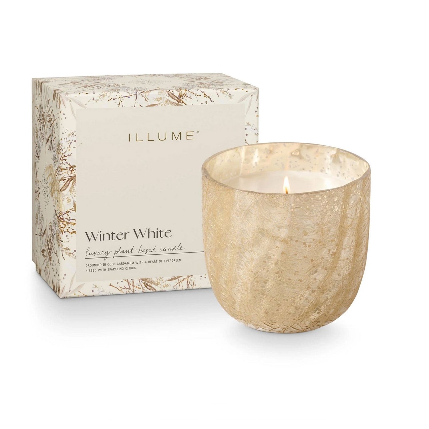 Large Boxed Crackle Glass Candle Winter White - Candle