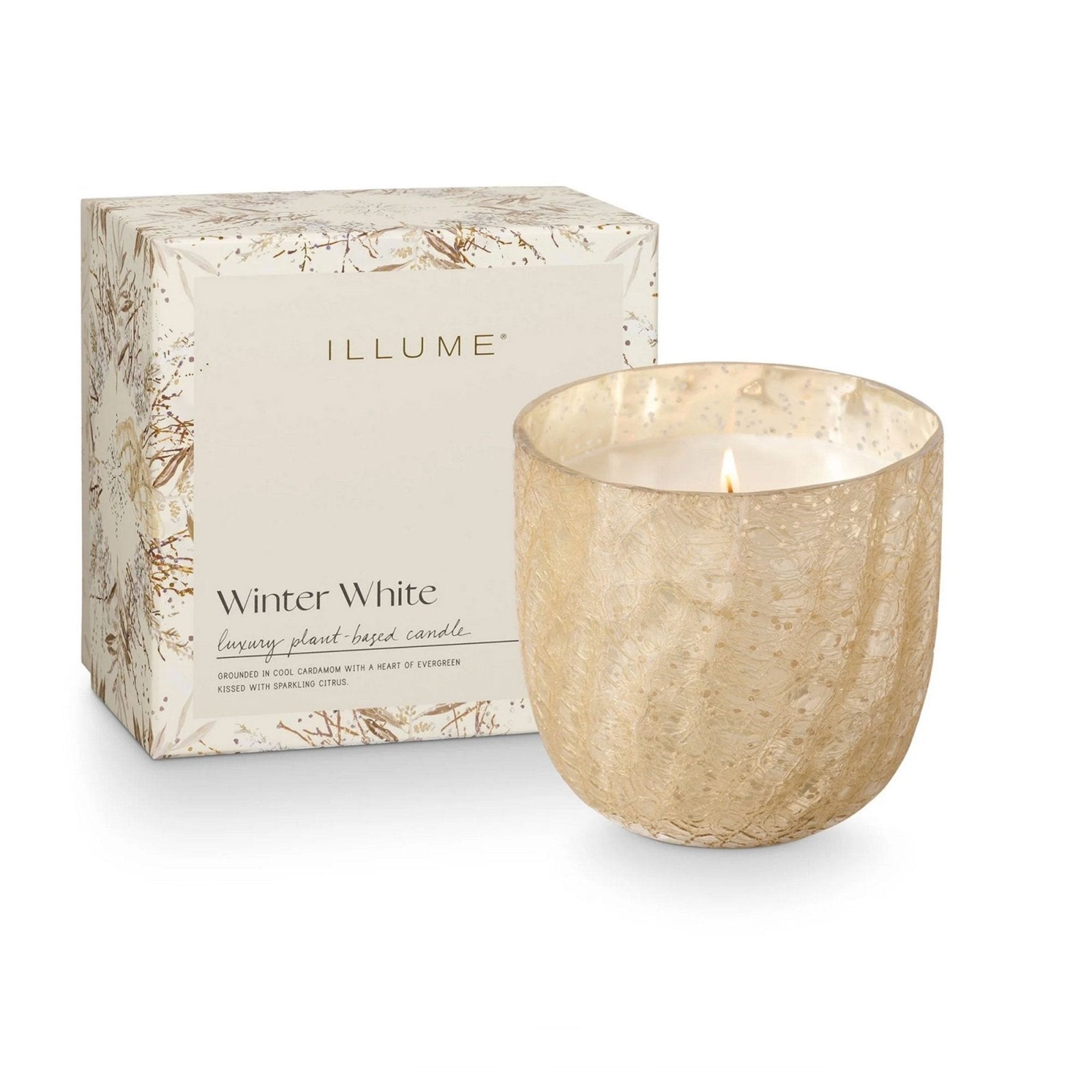 Large Boxed Crackle Glass Candle Winter White - Candle - shop_name