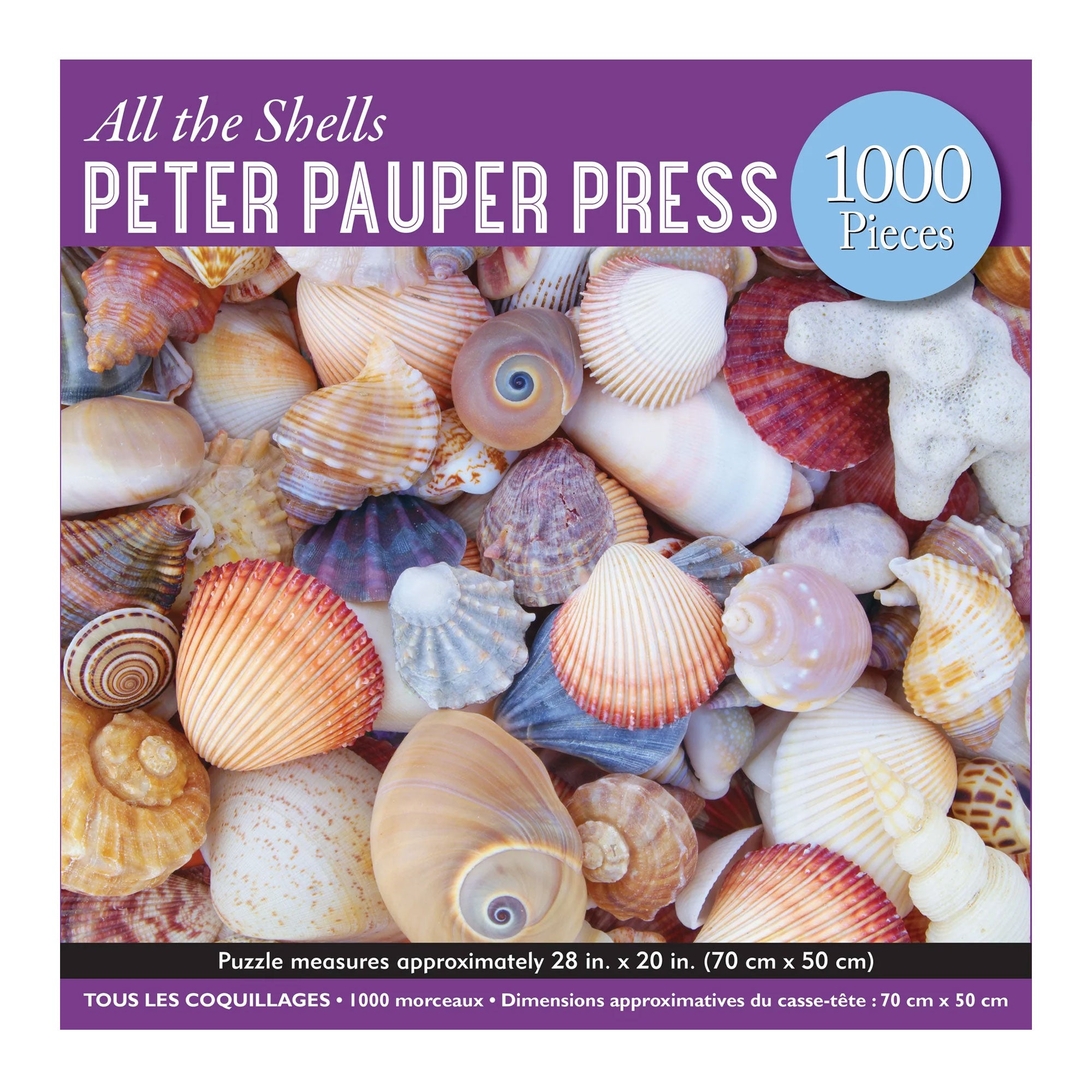 All the Shells 1000-Piece Puzzle – Art + Design SXM