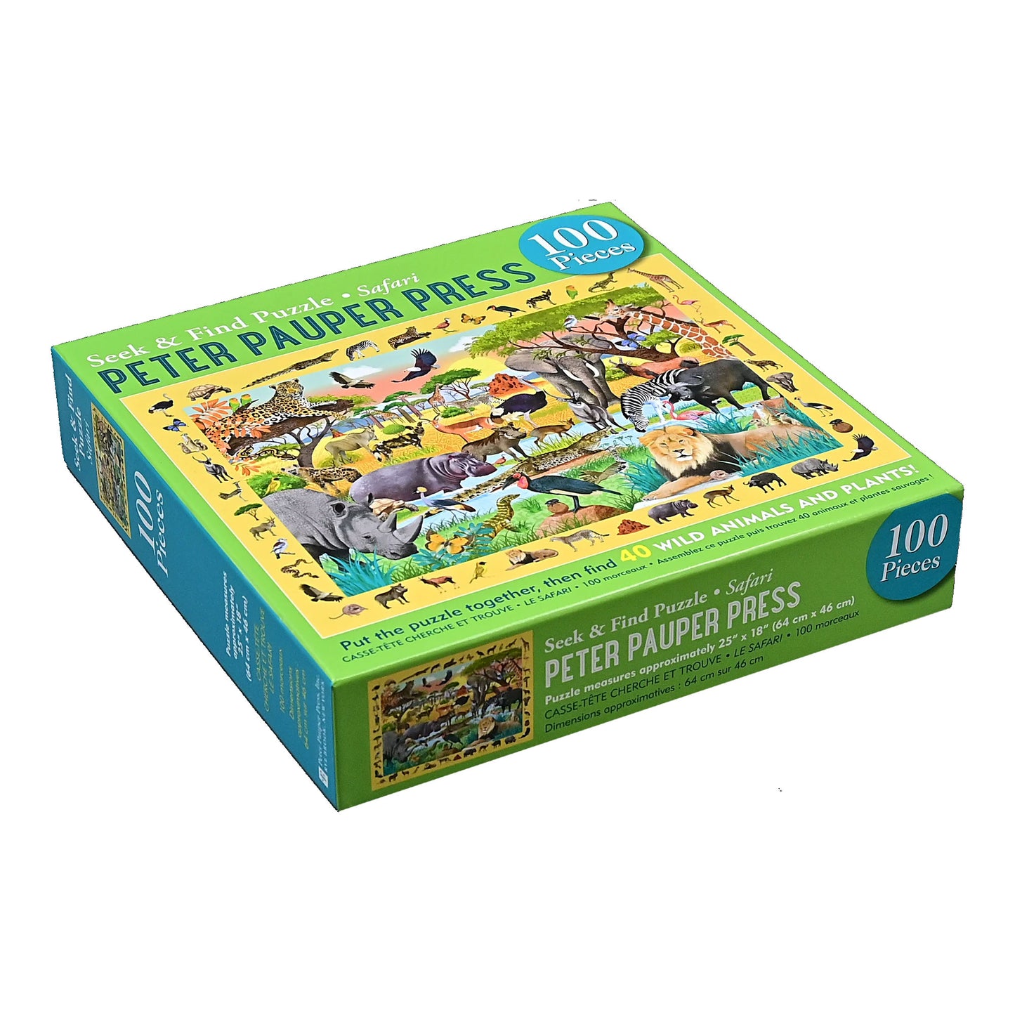 Puzzle de sol pour enfants Dinosaures