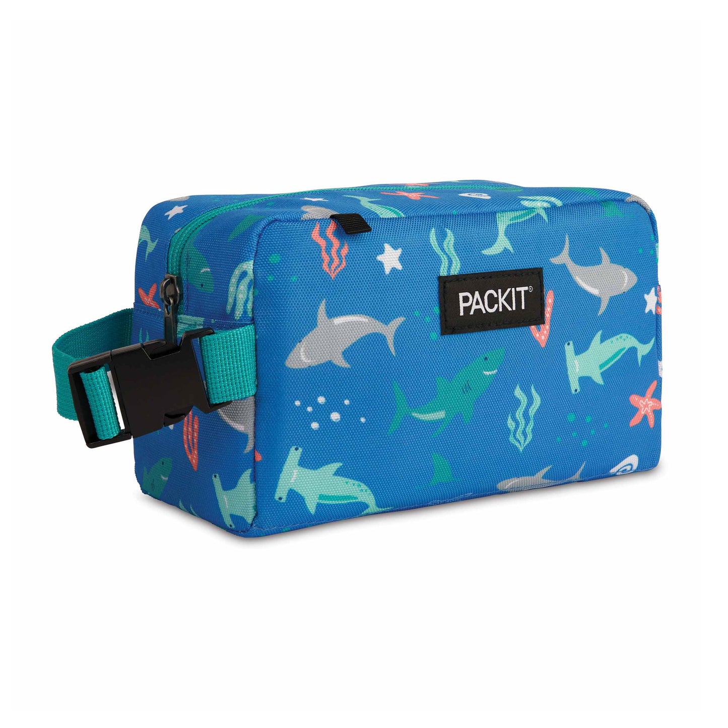 Freezable Snack Box Sharks